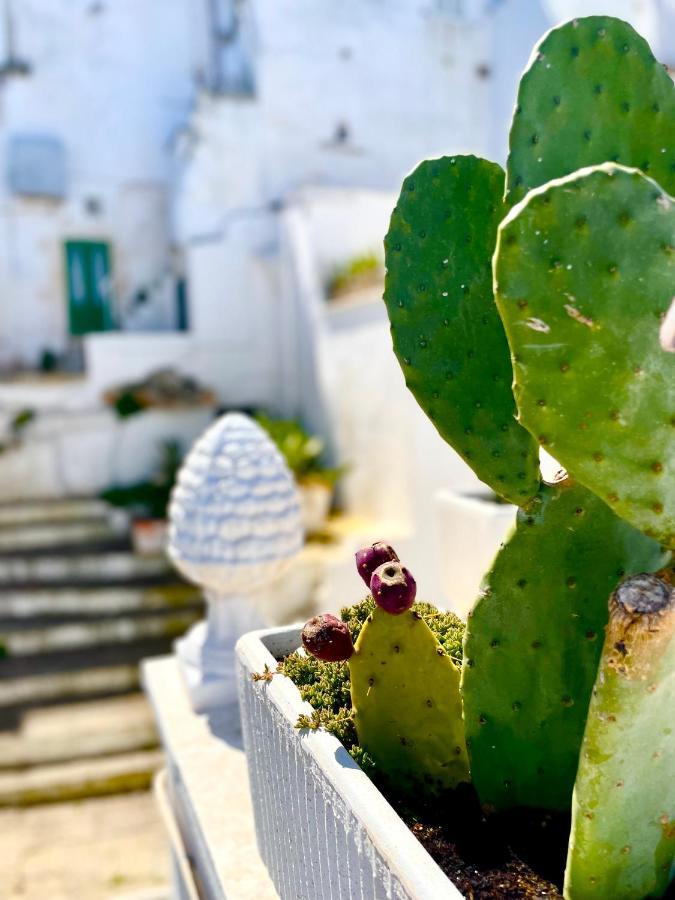 Belle Home Ostuni Vasca Vista Mare Exterior foto